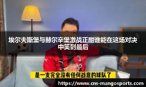 埃尔夫斯堡与赫尔辛堡激战正酣谁能在这场对决中笑到最后